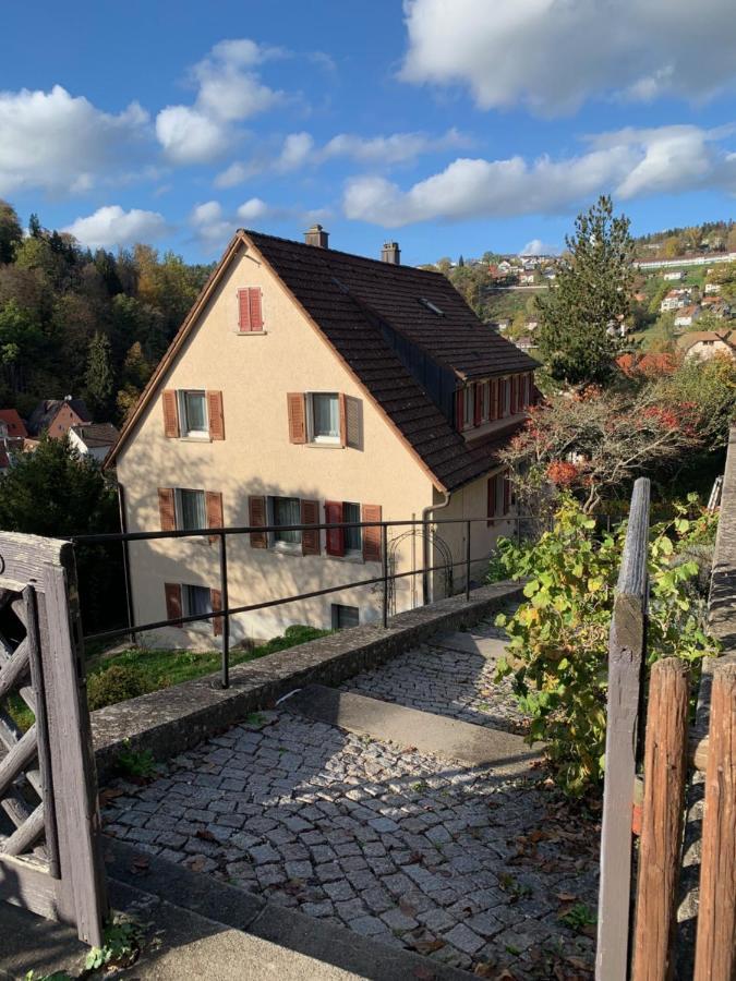 90qm große Wohnung mit 2 Schlafzimmer und Gartenterasse Altensteig Exterior foto